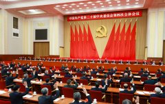 中国第二十届会第四次全体味议公报