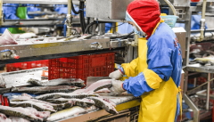 咸宁以全链条管理建牢食安平易近生底线 夯实高